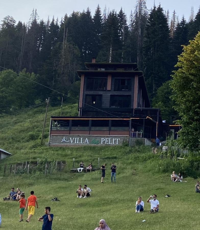 Ayder Villa De Pelit Hotel Exterior photo